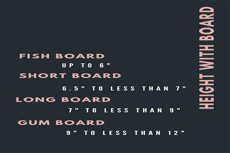 Top 12 Surfing Boards for Beginners | Explore Now