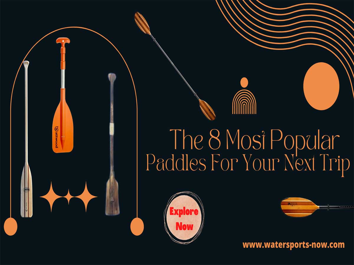 The Best Canoe Paddle Review 8 Models To Choose From