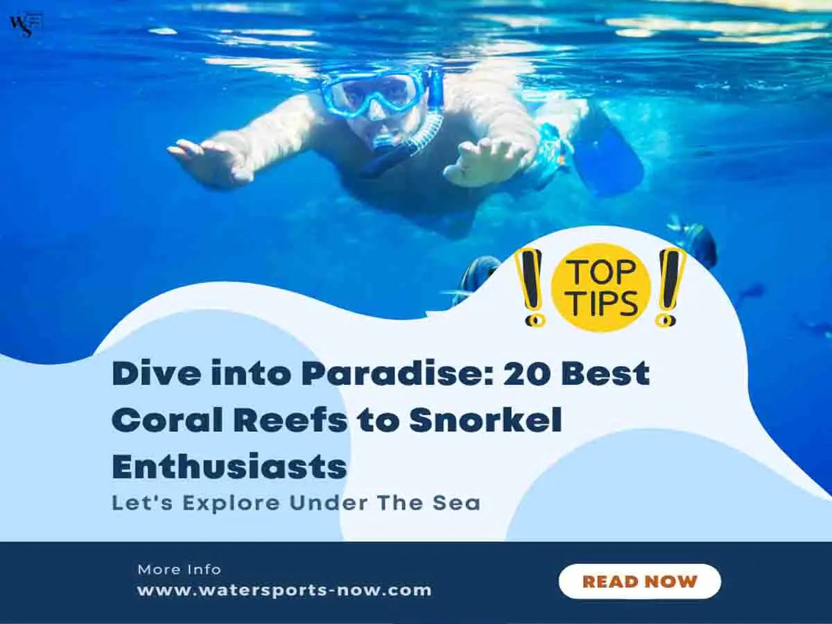 Dive into Paradise 20 Best Coral Reefs to Snorkel Enthusiasts